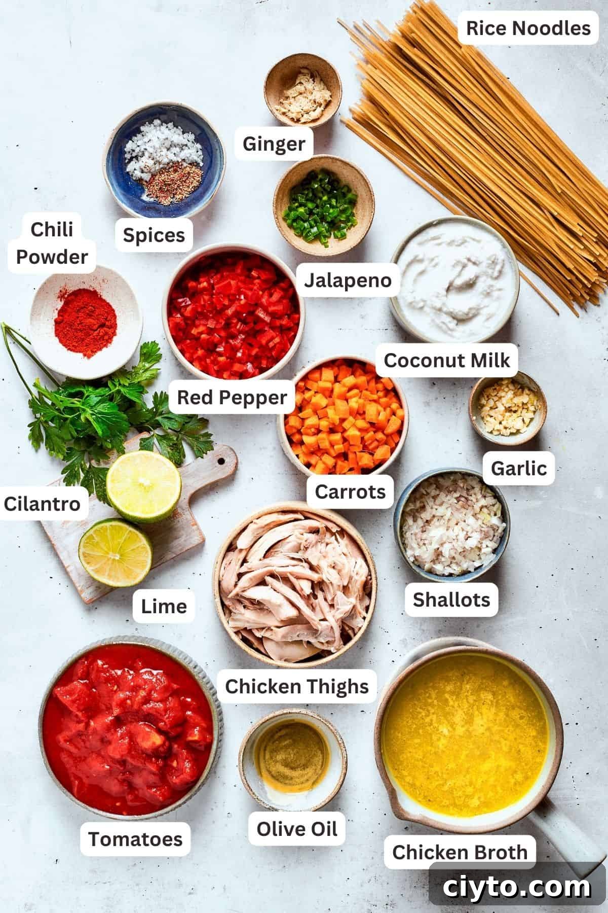 The ingredients for spicy chicken soup are shown portioned out: red pepper, chicken, coconut milk, garlic, carrots, shallots, lime, cilantro, broth, noodles, tomatoes, jalapeno, chili powder.