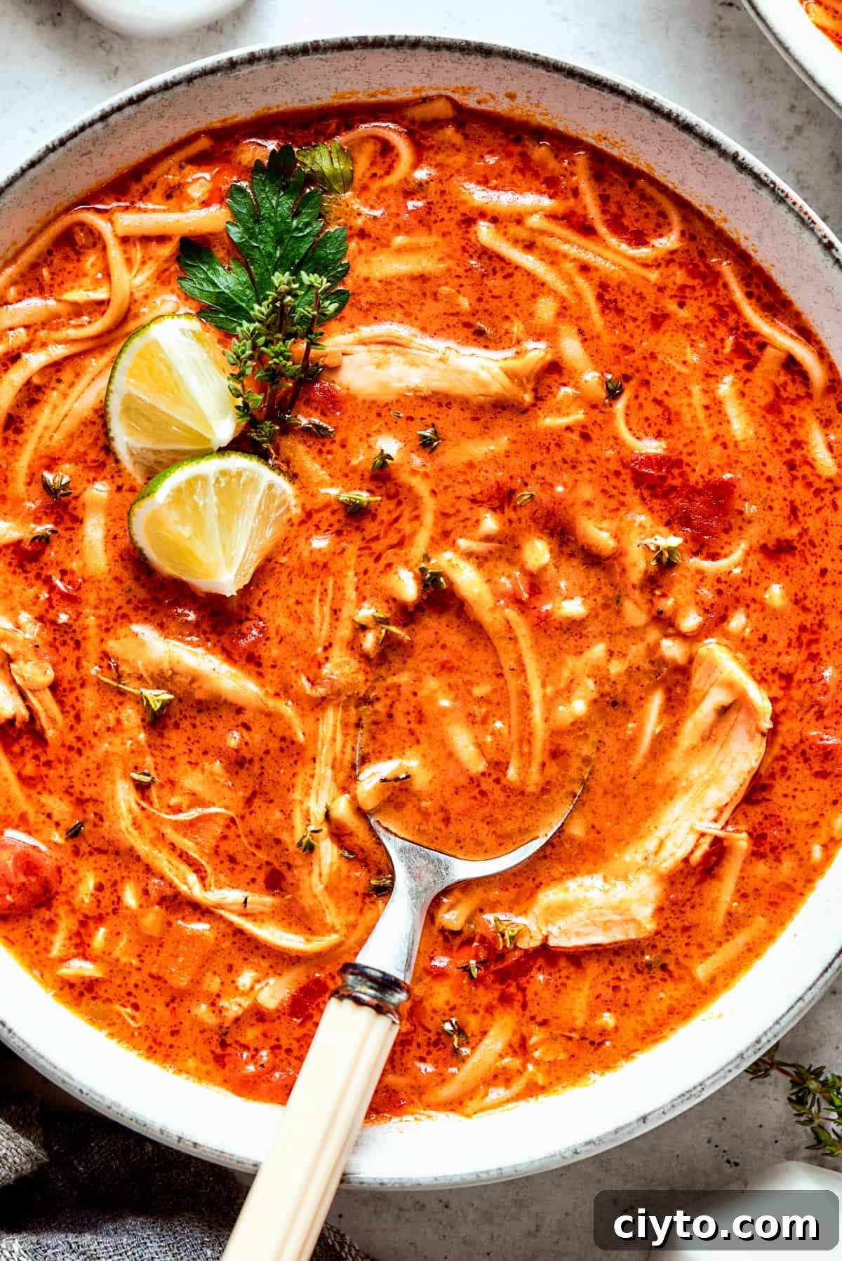 An overhead up close image of a bowl of spicy chicken soup with a spoon resting in the soup.