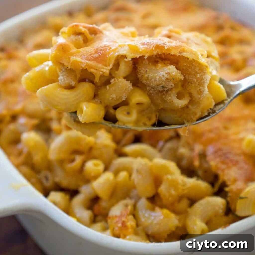 baked box mac and cheese on white plate