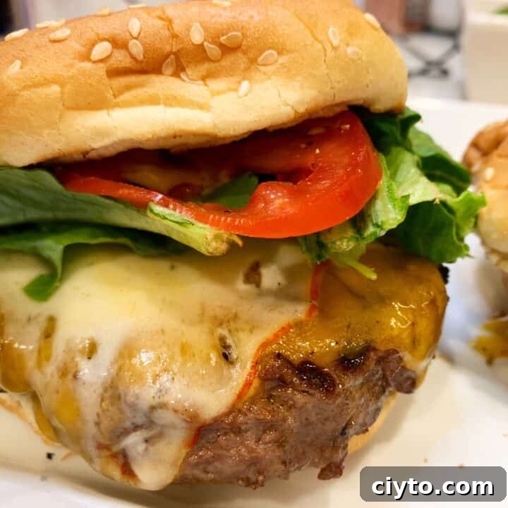 The Perfect Ten Burger