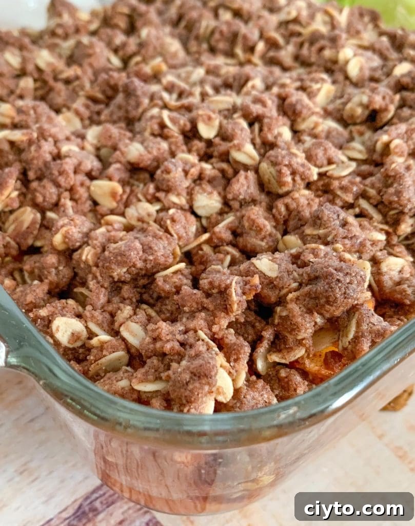 A close up of apple crisp topping with oats.