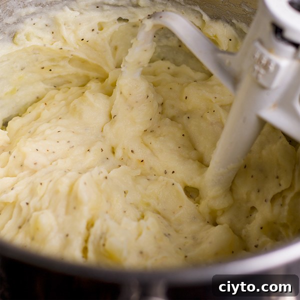 Slow-Braised Tuscan Beef with Garlic Mascarpone Mashed Potatoes 8 Making garlic mascarpone mashed potatoes.