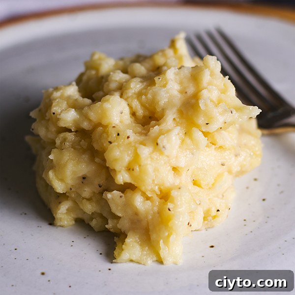 Slow-Braised Tuscan Beef with Garlic Mascarpone Mashed Potatoes 9 A serving of garlic mascarpone mashed potatoes.
