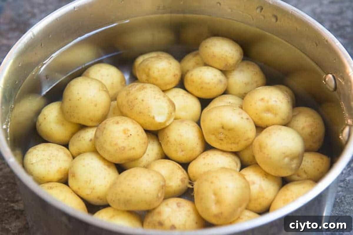 Baby Creamer Potatoes in Water