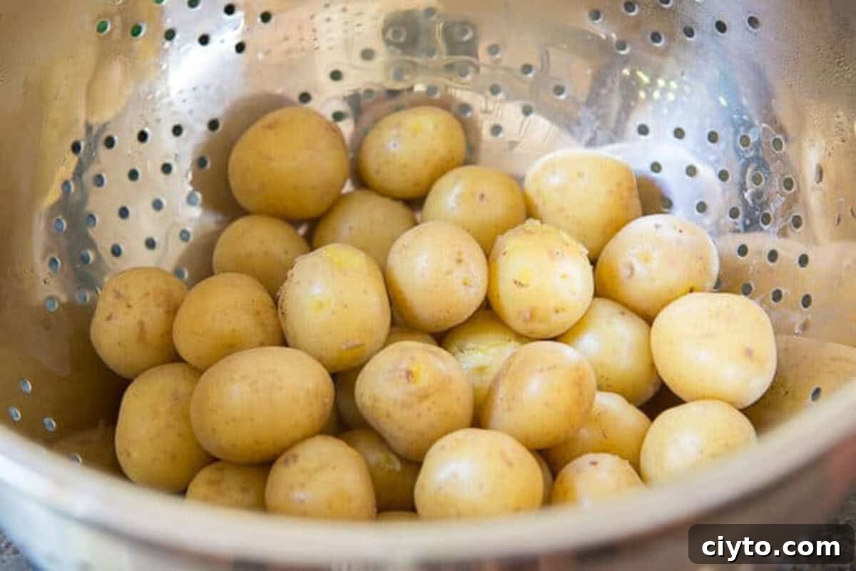 Tiny Potatoes Cooked and Draining in Colander
