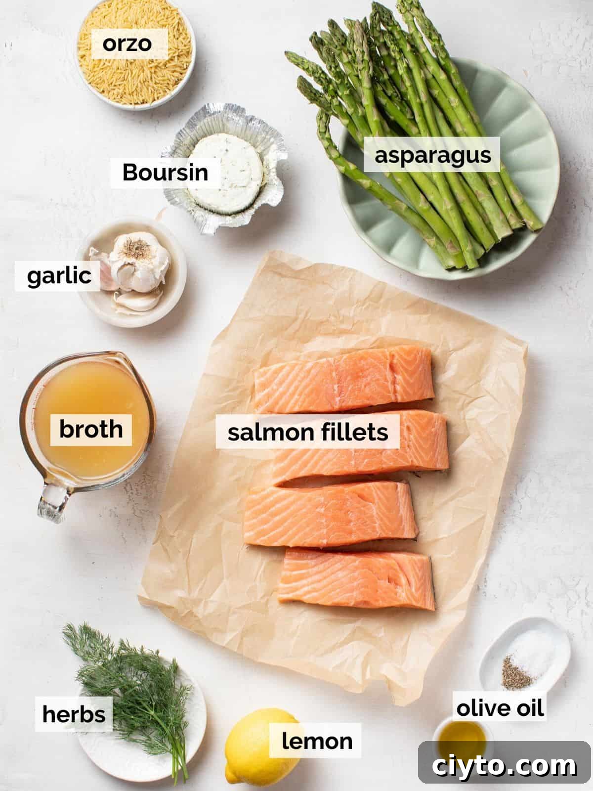 Ingredients to make salmon and orzo on a white background.