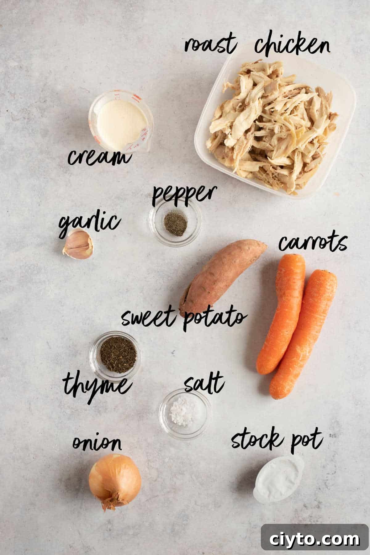 Ingredients for roast chicken soup.