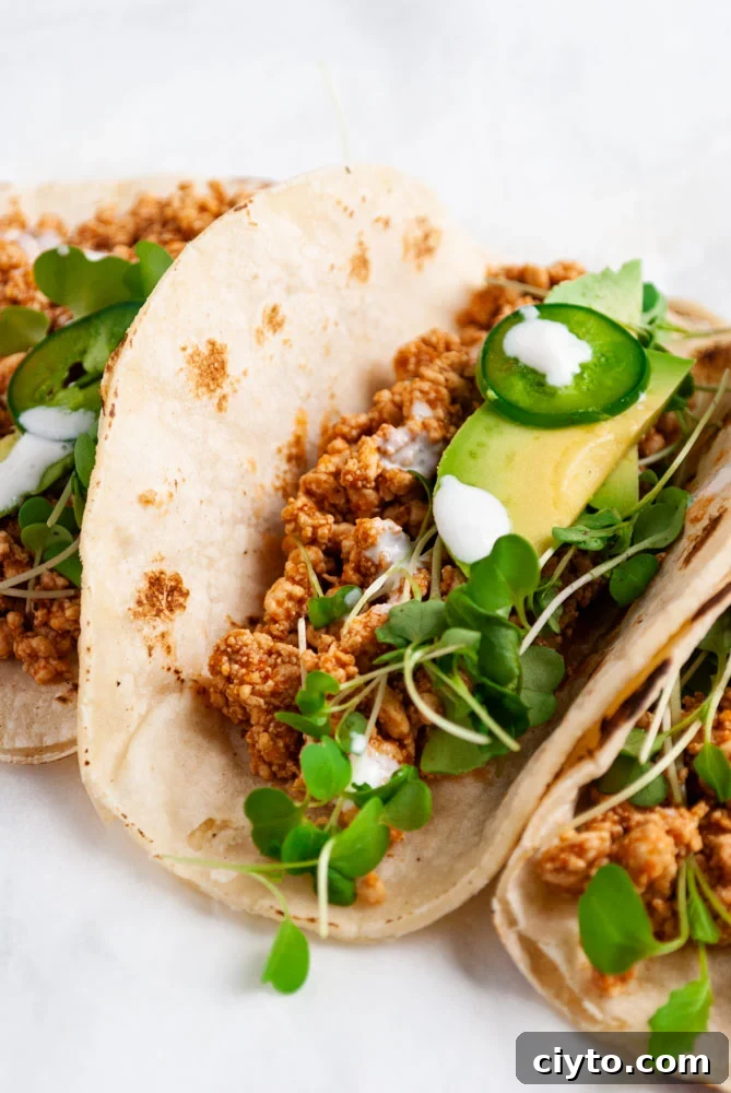 Quick Vegan Tofu Tacos Recipe for Weeknights 2 tofu tacos in corn tortillas