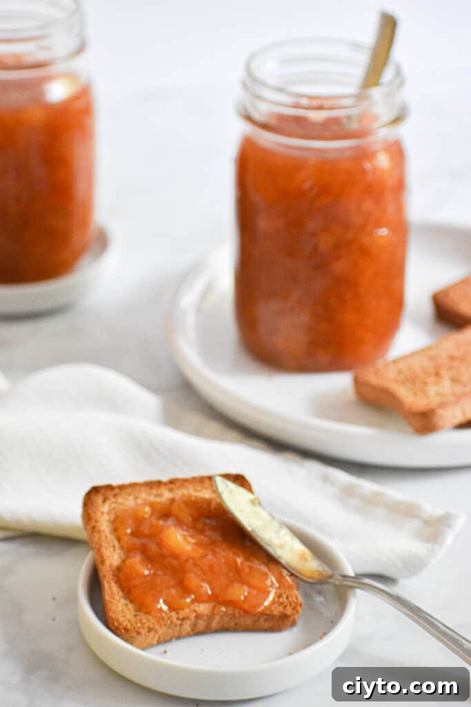 Homemade Instant Pot Peach Jam Recipe 4 The peach jam is spread on toast