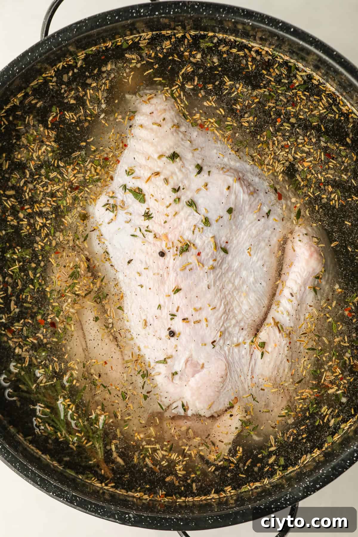 Overhead picture of black pot with turkey in brine.