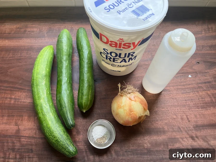 ingredients for creamy cucumber and onion saald 