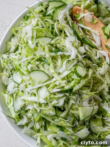 cucumber cabbage salad with green onions and sunflower oil