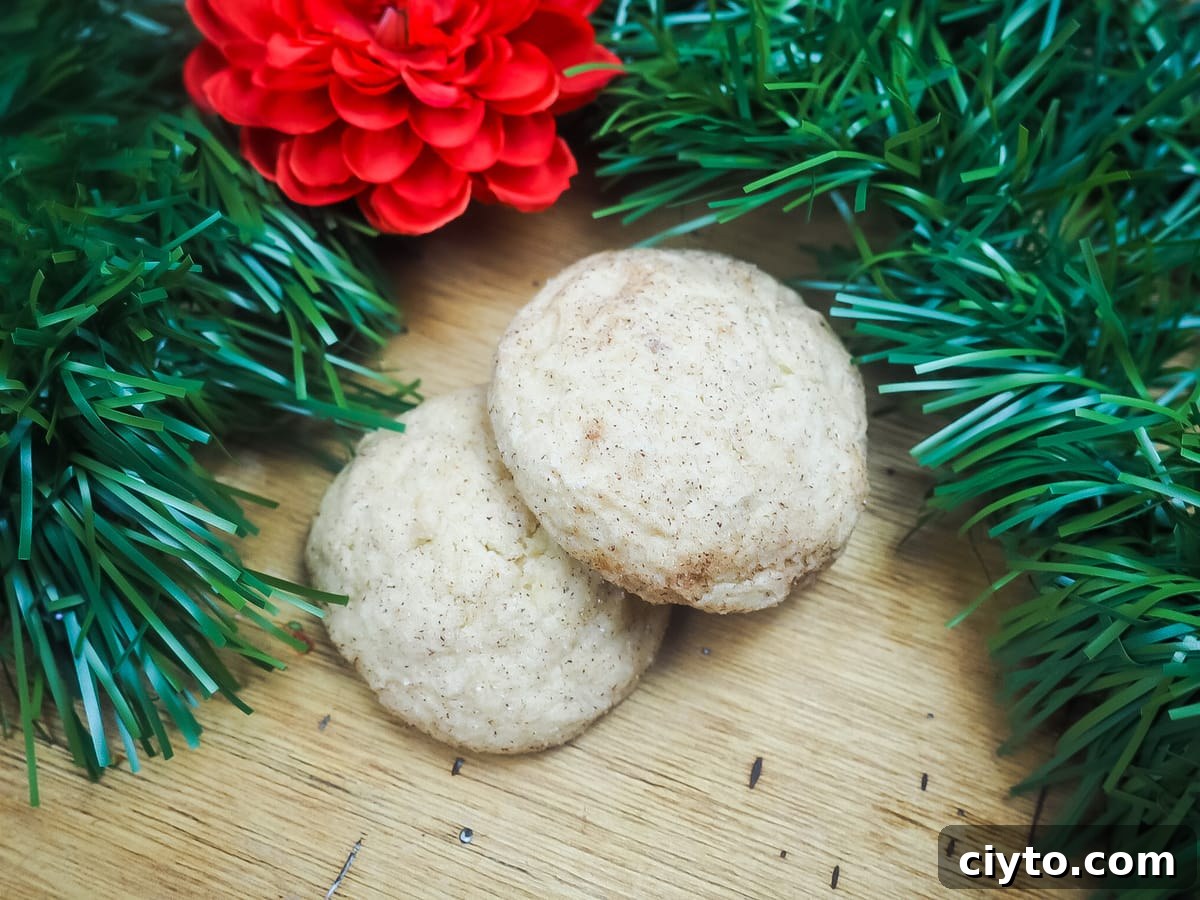 Soft Chewy Apple Butter Snickerdoodles Recipe 6 Two snickerdoodles surrounded by Christmas garland.
