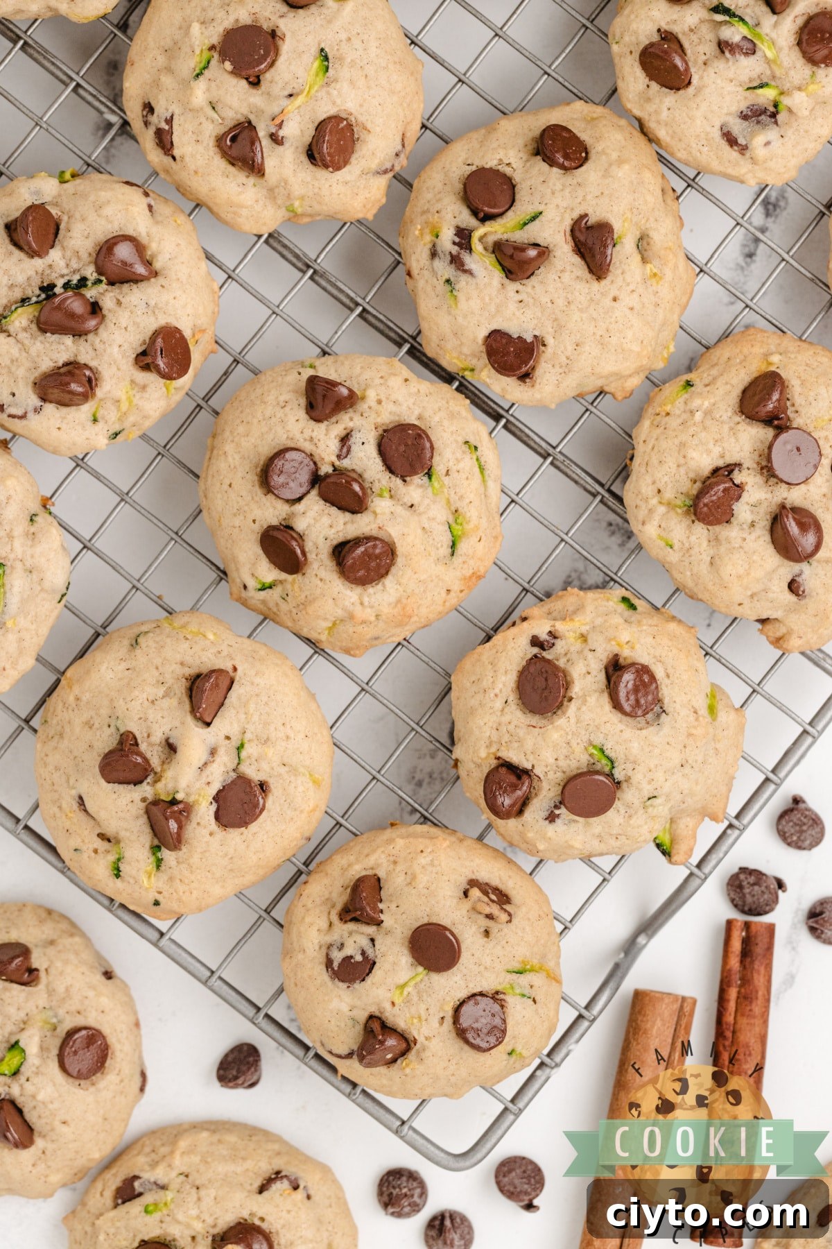 Chewy Zucchini Chocolate Chip Cookie Recipe 2 Zucchini Chocolate Chip Cookies are delicious and packed with zucchini. These chocolate chip cookies are the perfect way to sneak in some veggies and use up all the zucchini from your garden!