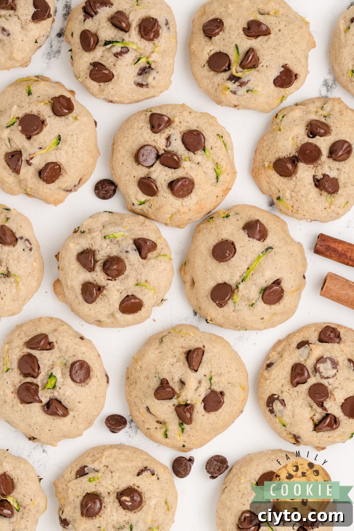 Chewy Zucchini Chocolate Chip Cookie Recipe 9 Chocolate chip cookies with zucchini.