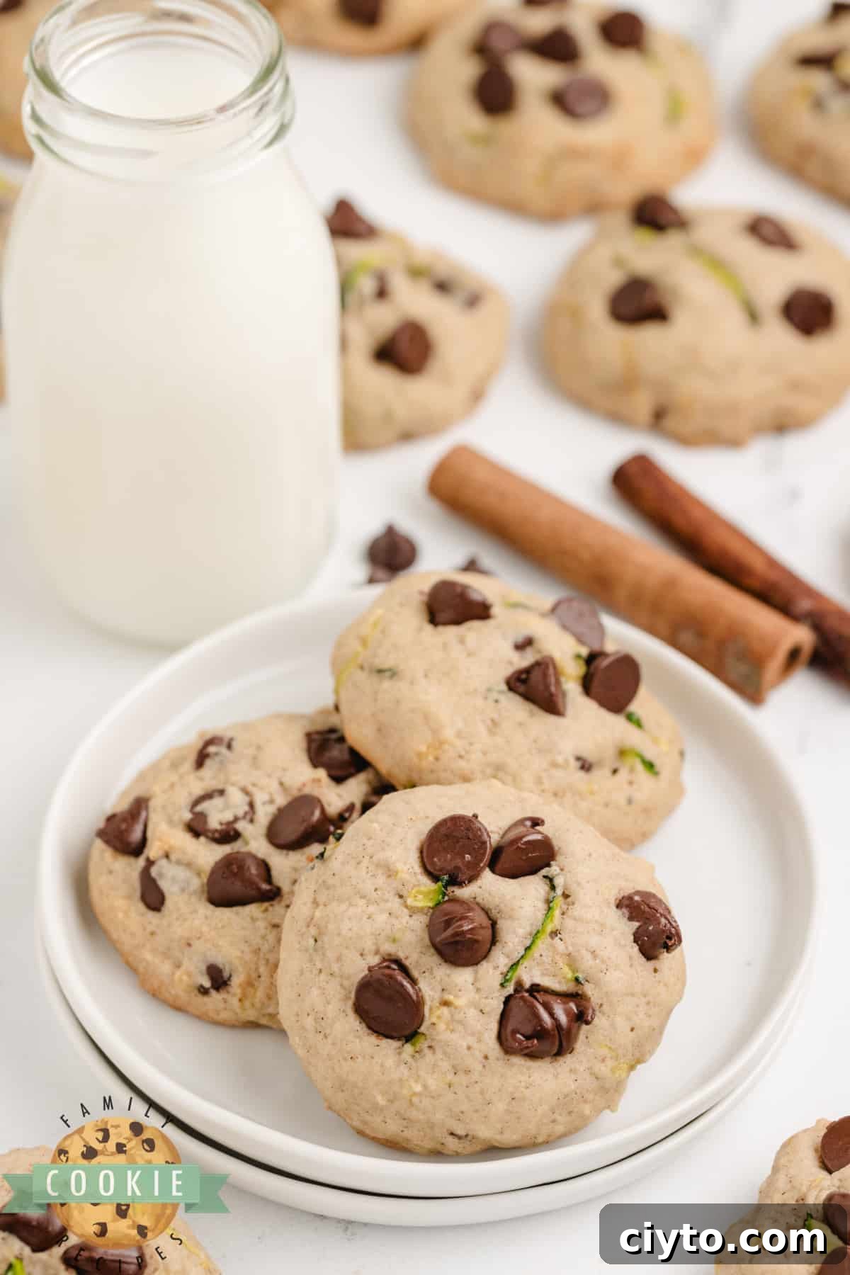 Chewy Zucchini Chocolate Chip Cookie Recipe 4 Chocolate chip cookies with fresh zucchini.