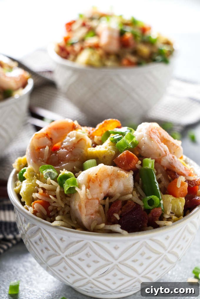 Two bowls of Blackstone shrimp fried rice.