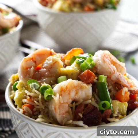 Two bowls of Blackstone shrimp fried rice.