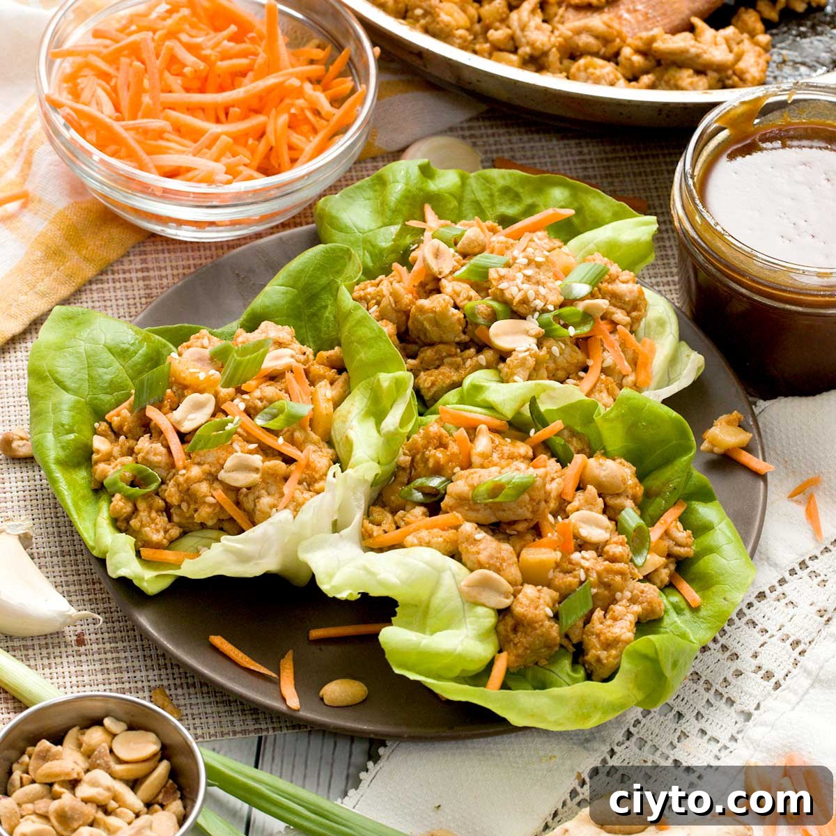 A plate with three asian lettuce wraps with ground chicken and hoisin peanut sauce.