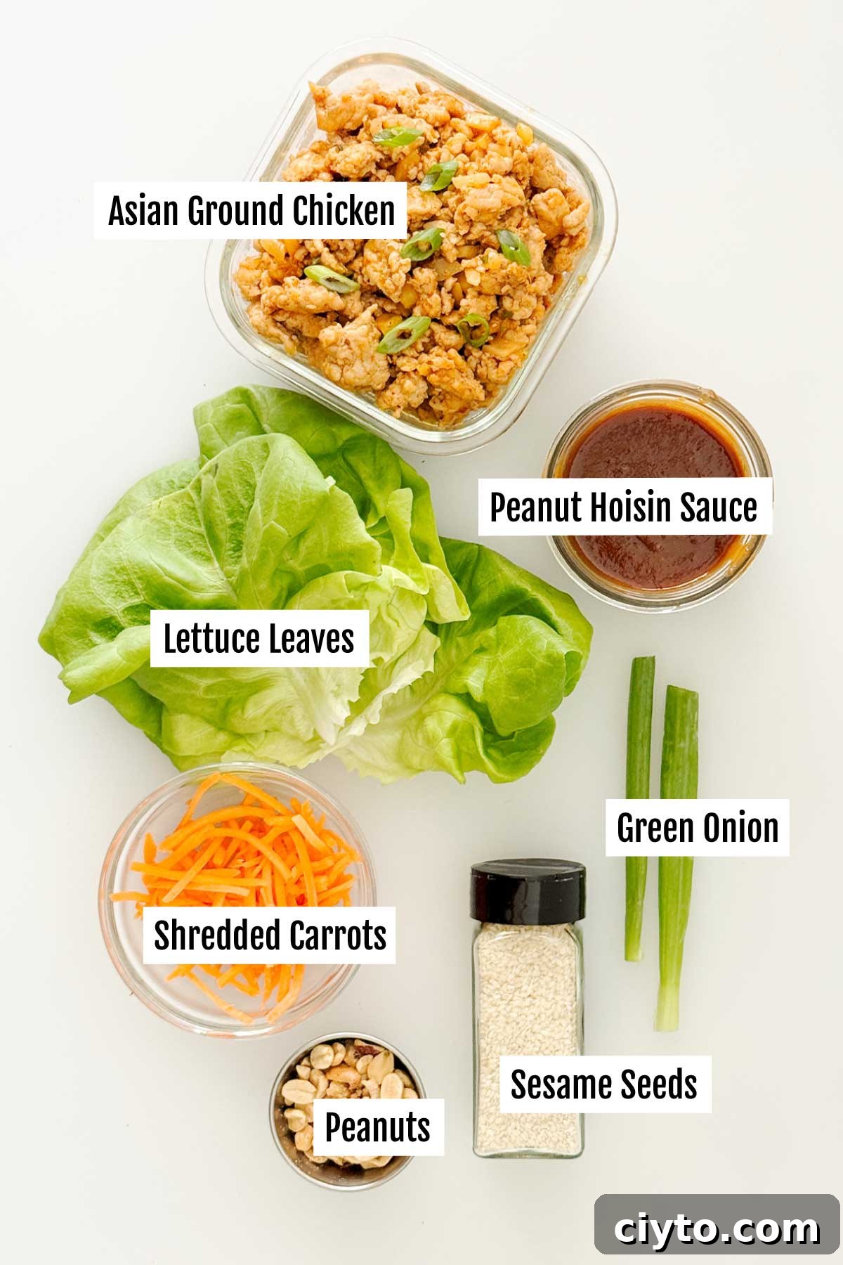 All the ingredients you need to make Asian lettuce wraps with ground chicken.