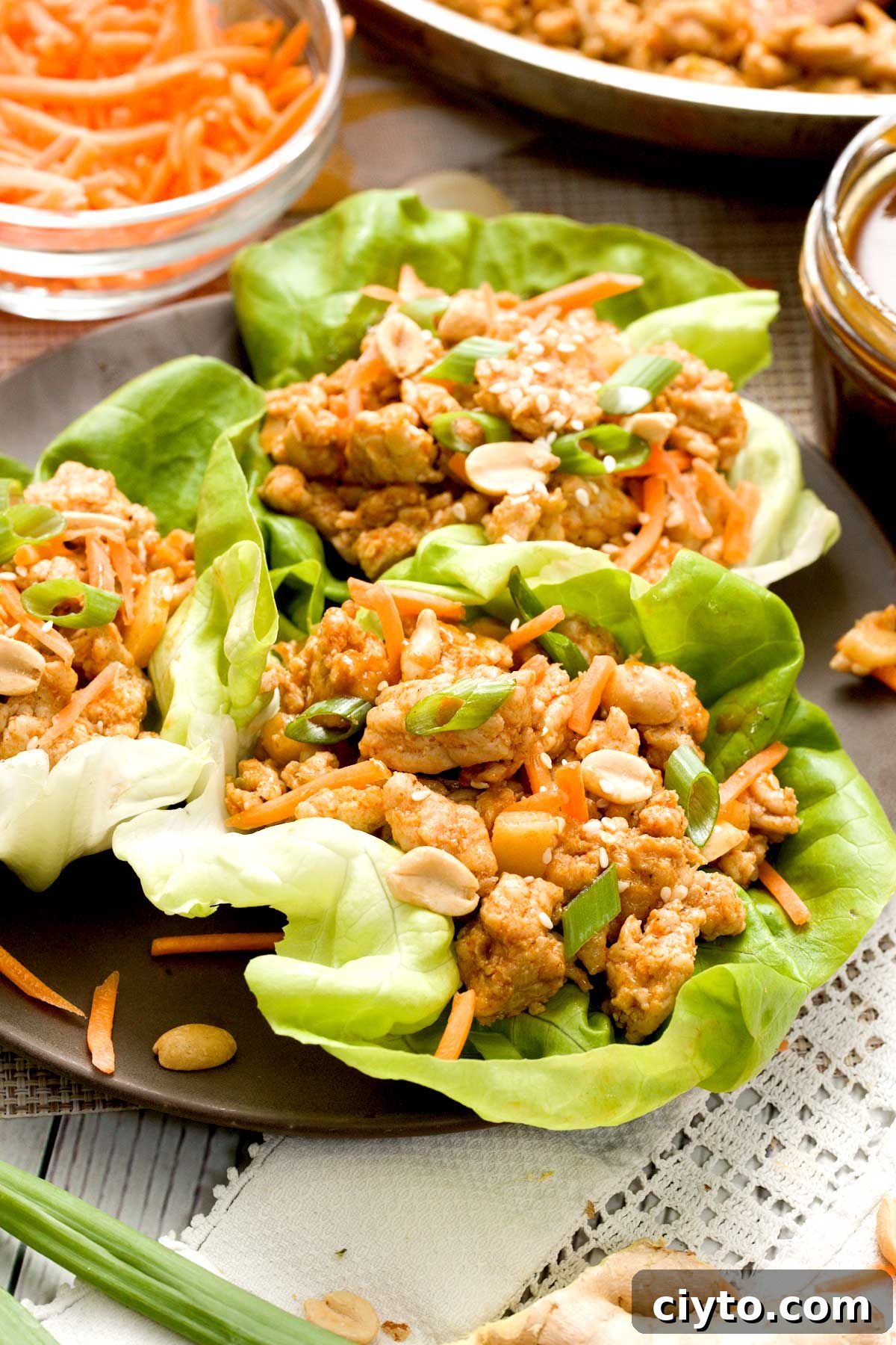 A close-up of a plate with three Asian lettuce wraps with ground chicken and hoisin peanut sauce.