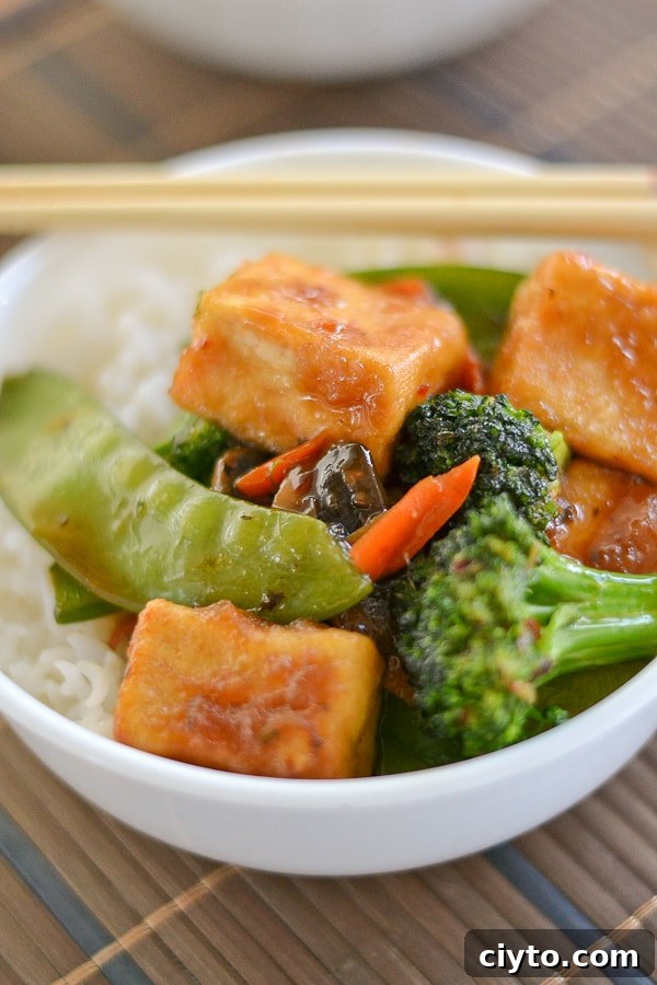 Sweet and Spicy Tofu Stir-Fry with Crisp Vegetables 3 Vegetable Stir Fry with Sweet and Spicy Tofu