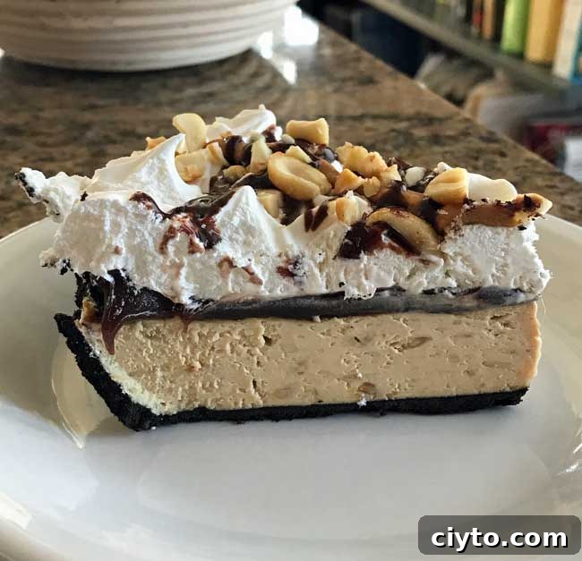Slice of peanut butter pie showing layers