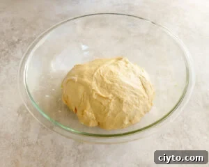 Cover dough and let rise for one hour before placing in the fridge overnight.