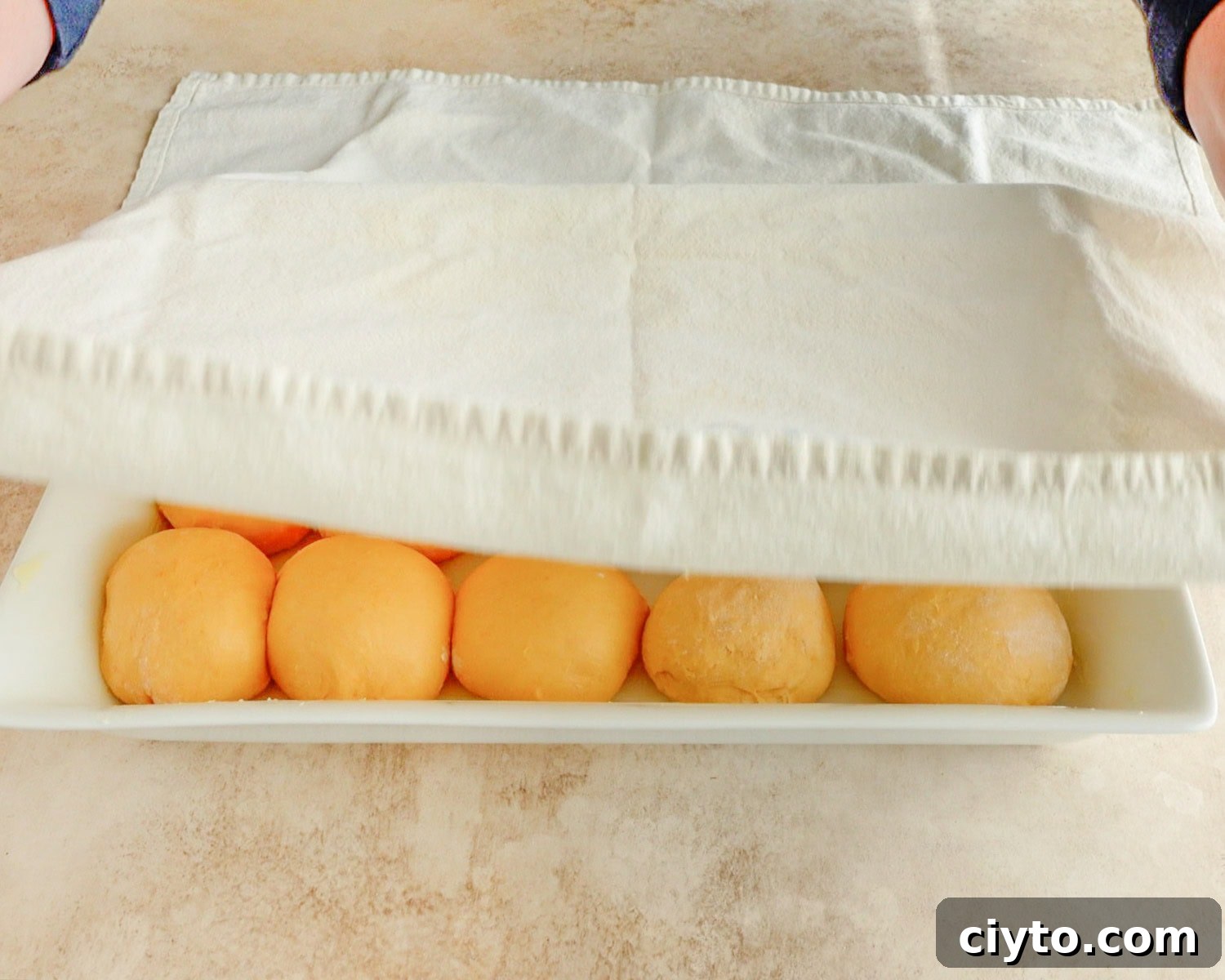 Cover rolls with a clean dish towel and allow to rise.