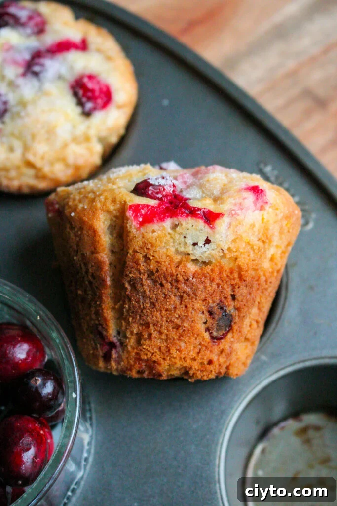 Bakery style cranberry orange muffins
