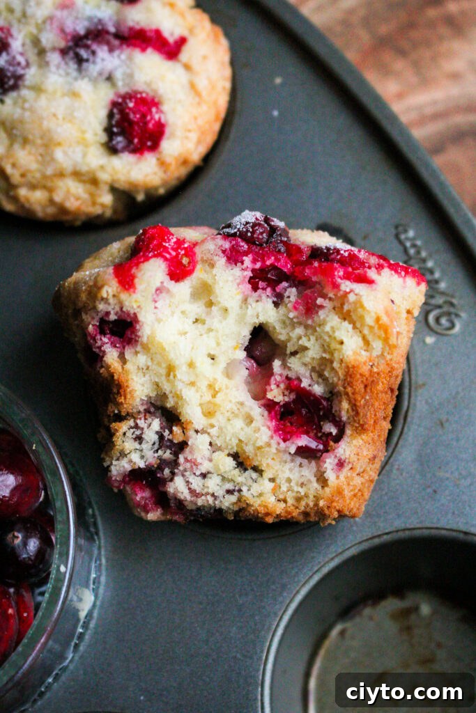 Tray of finished cranberry orange muffins