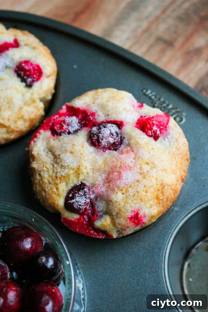 Individual cranberry orange muffin