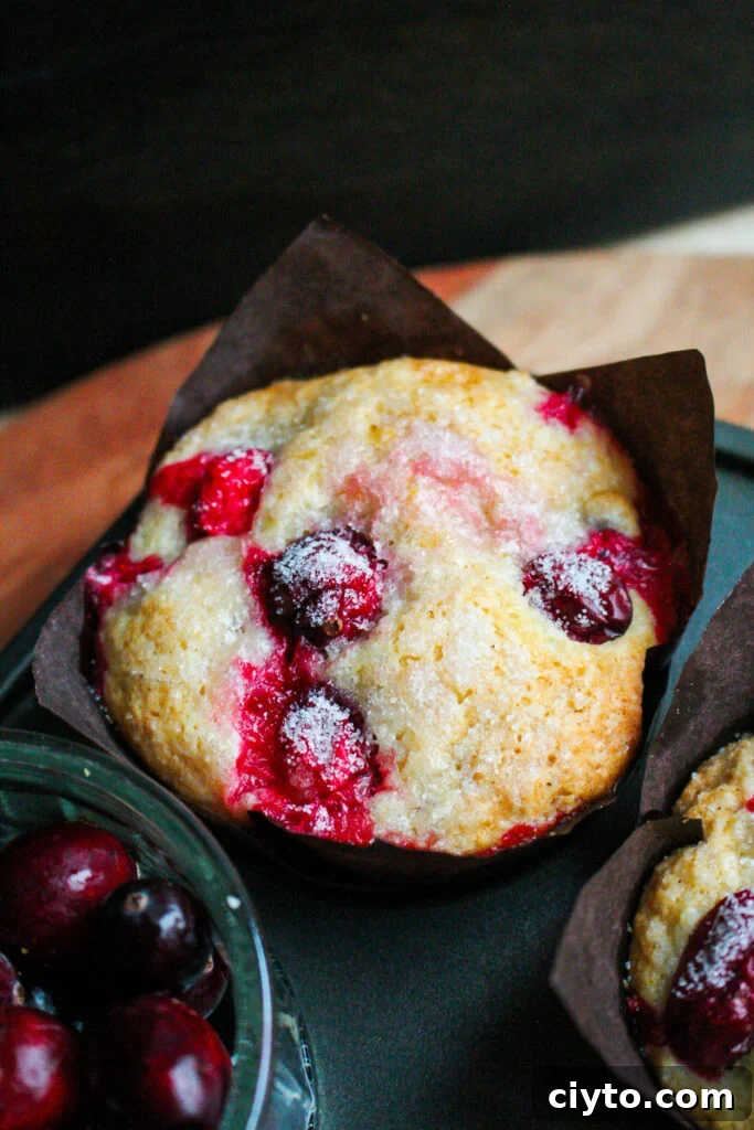 Close up of cranberry orange muffins