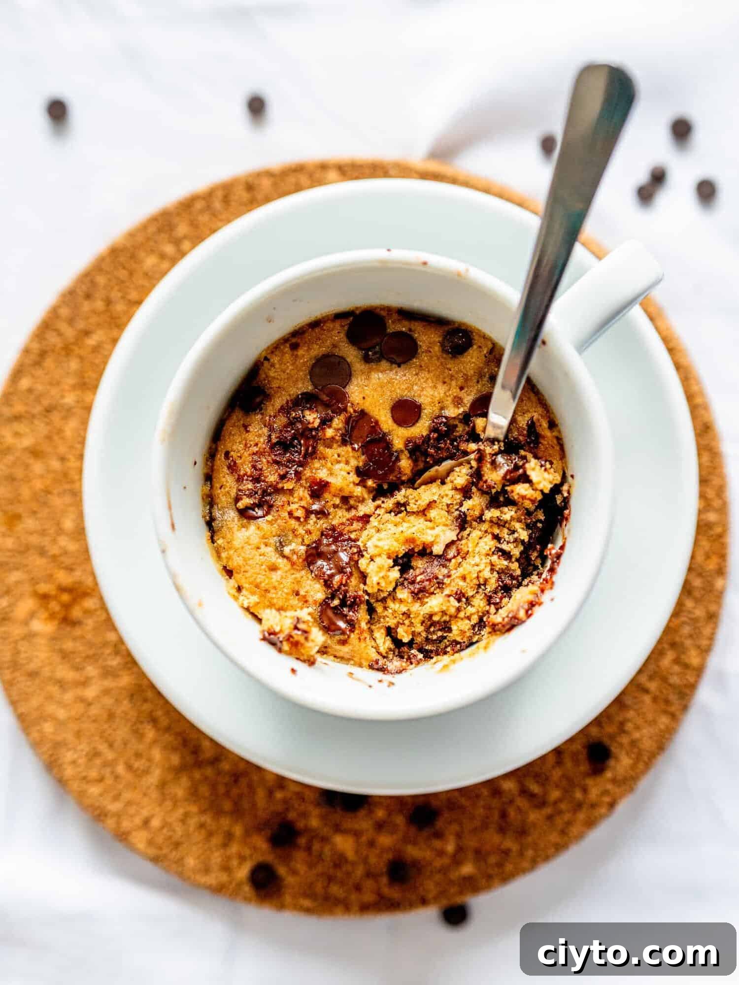 Microwave Chocolate Chip Mug Cake Recipe 2 Fluffy Chocolate Chip Mug Cake.