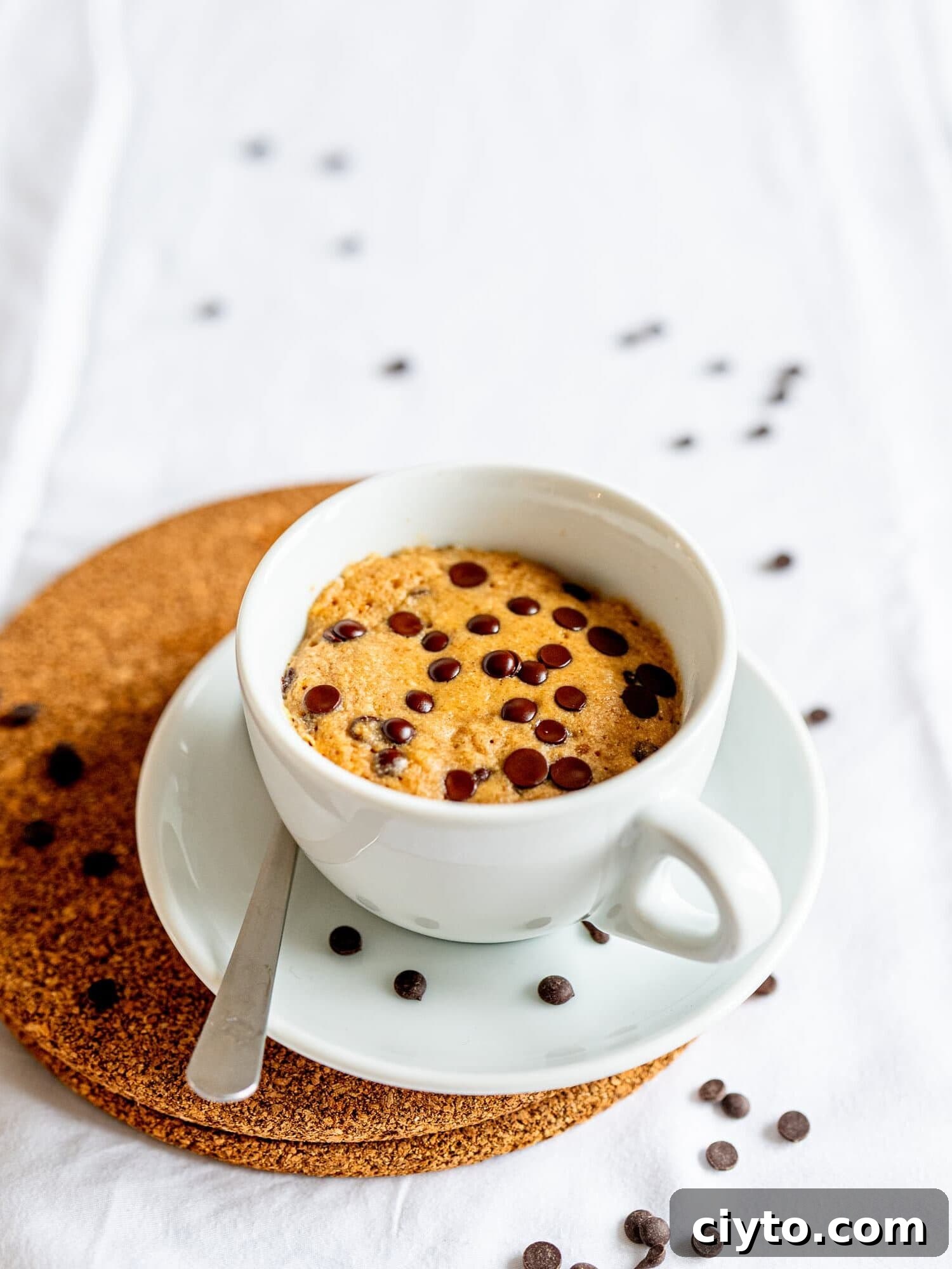 Microwave Chocolate Chip Mug Cake Recipe 4 Healthy Chocolate Chip Mug Cake.