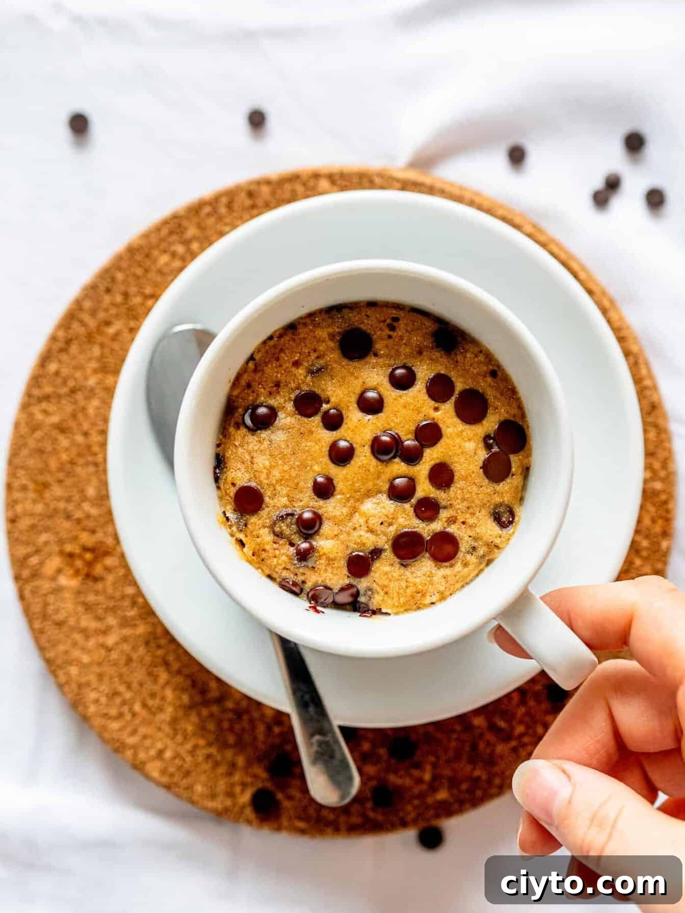 Microwave Chocolate Chip Mug Cake Recipe 5 Choc Chip Mug Cake.