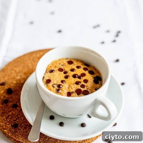 Microwave Chocolate Chip Mug Cake Recipe 6 Healthy Chocolate Chip Mug Cake.