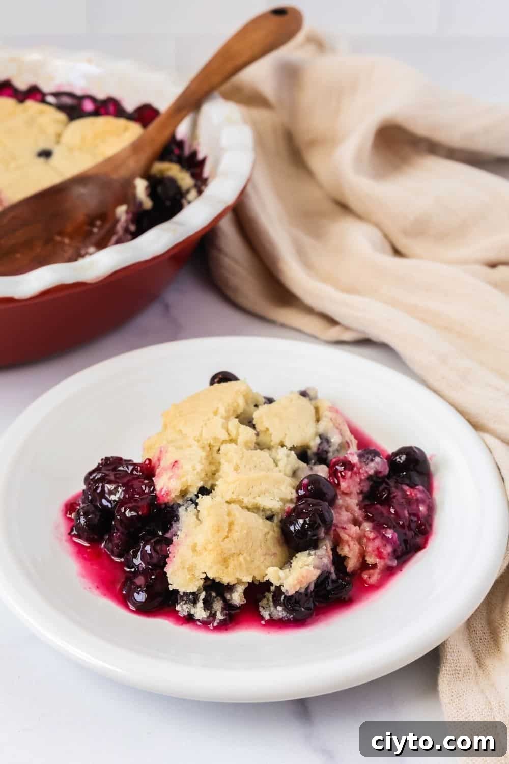 Quick Bisquick Blueberry Cobbler Recipe for Summer 4 A serving of fresh blueberry cobbler with biscuit-like topping on a white plate, with the dish of remaining cobbler in the background.