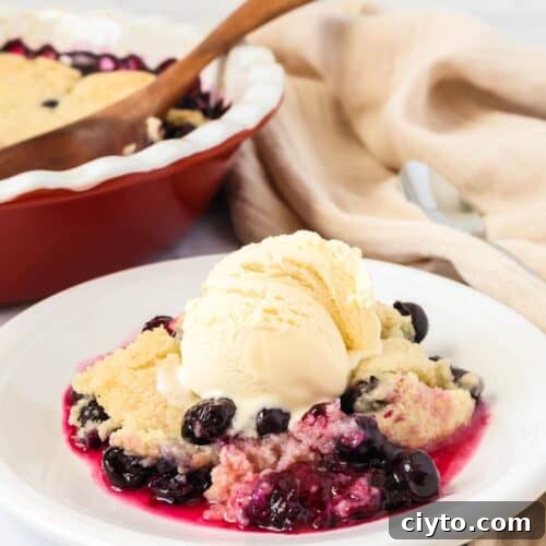 Quick Bisquick Blueberry Cobbler Recipe for Summer 10 Bisquick blueberry cobbler served on a white plate with a scoop of vanilla ice cream. The baking dish is in the background.