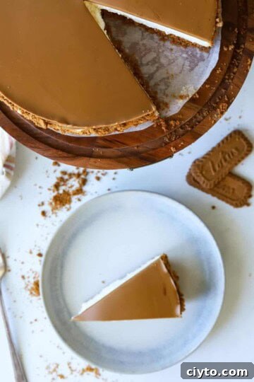 cheesecake on cake stand and one slice of cheesecake on plate