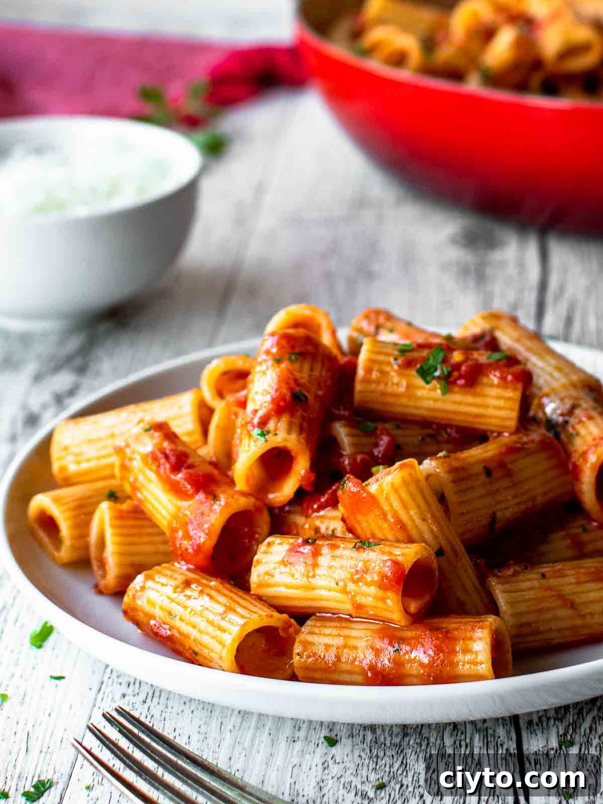 Rigatoni Arrabbiata on a white plate with red skillet in the background.
