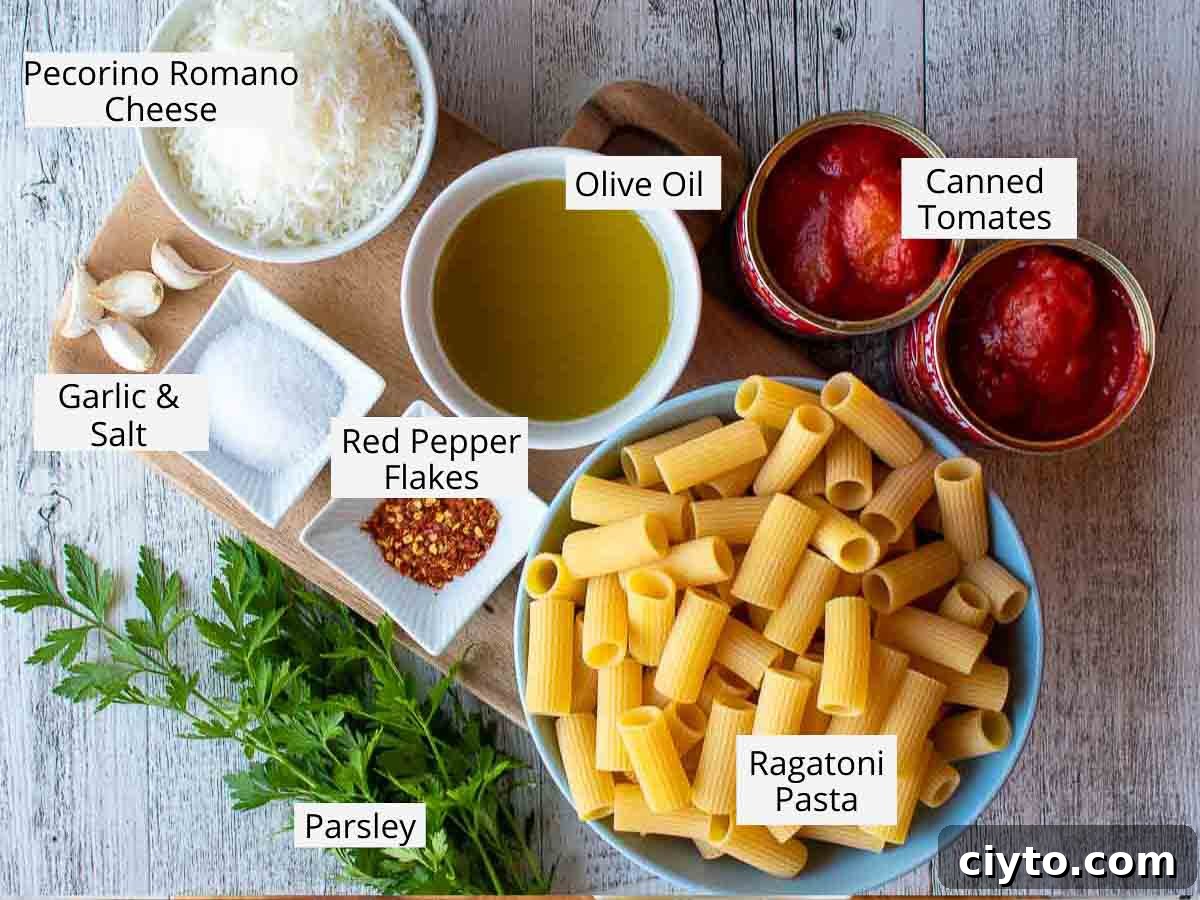 Ingredients for this recipe viewed from above.