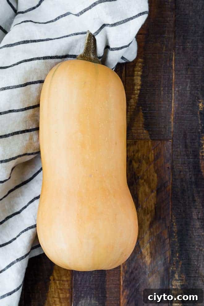 Image of whole butternut squash.
