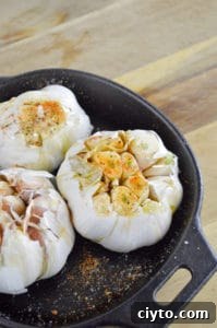 Seasoned garlic bulbs before smoking