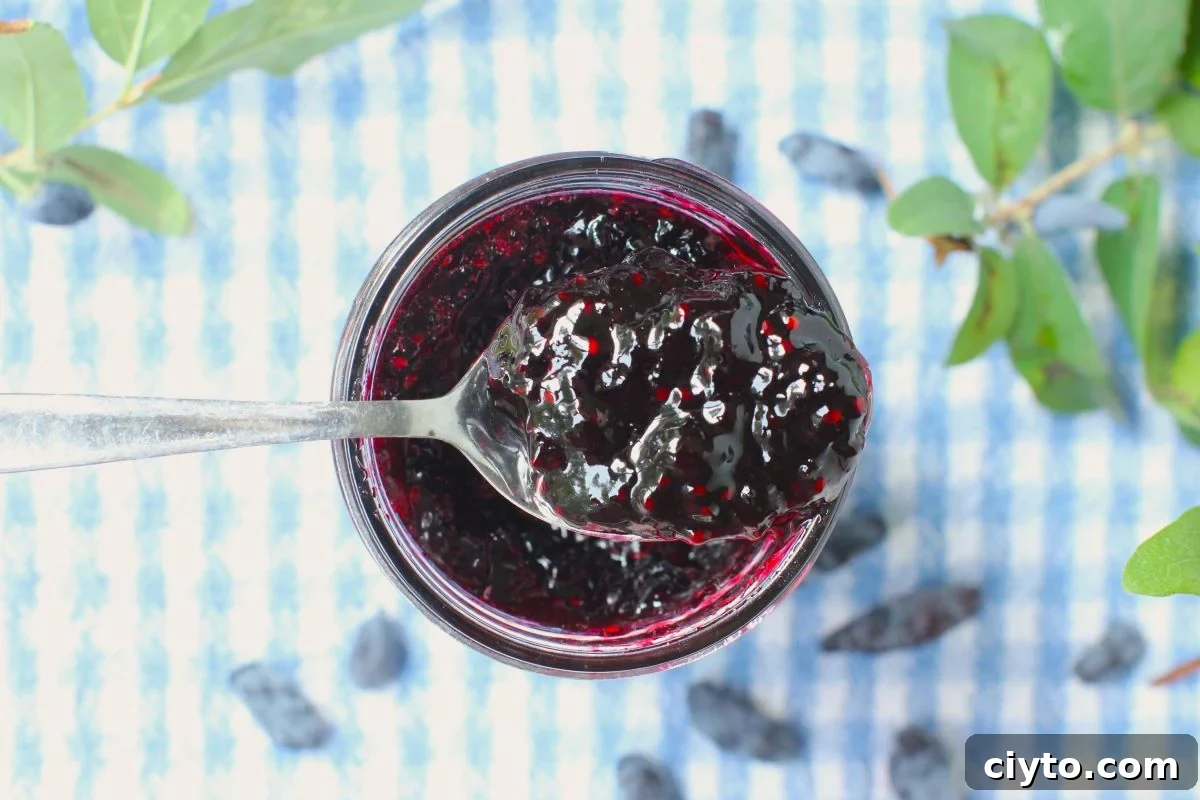 spoonful of haskap jam on top of jam jar