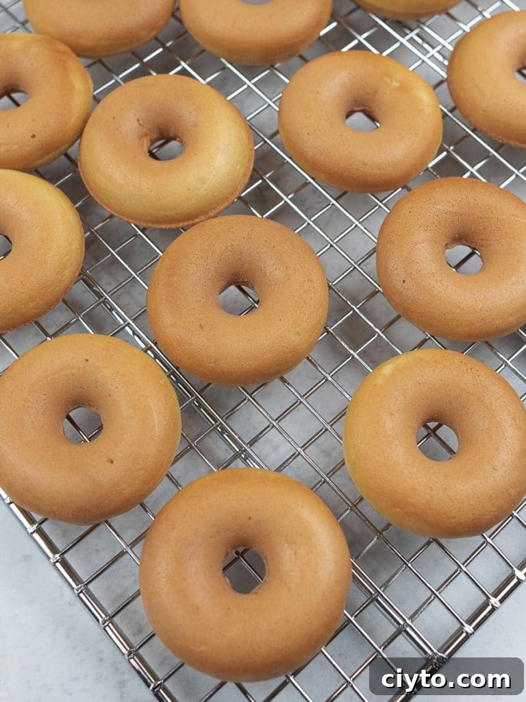 mini donuts on a cooling rack