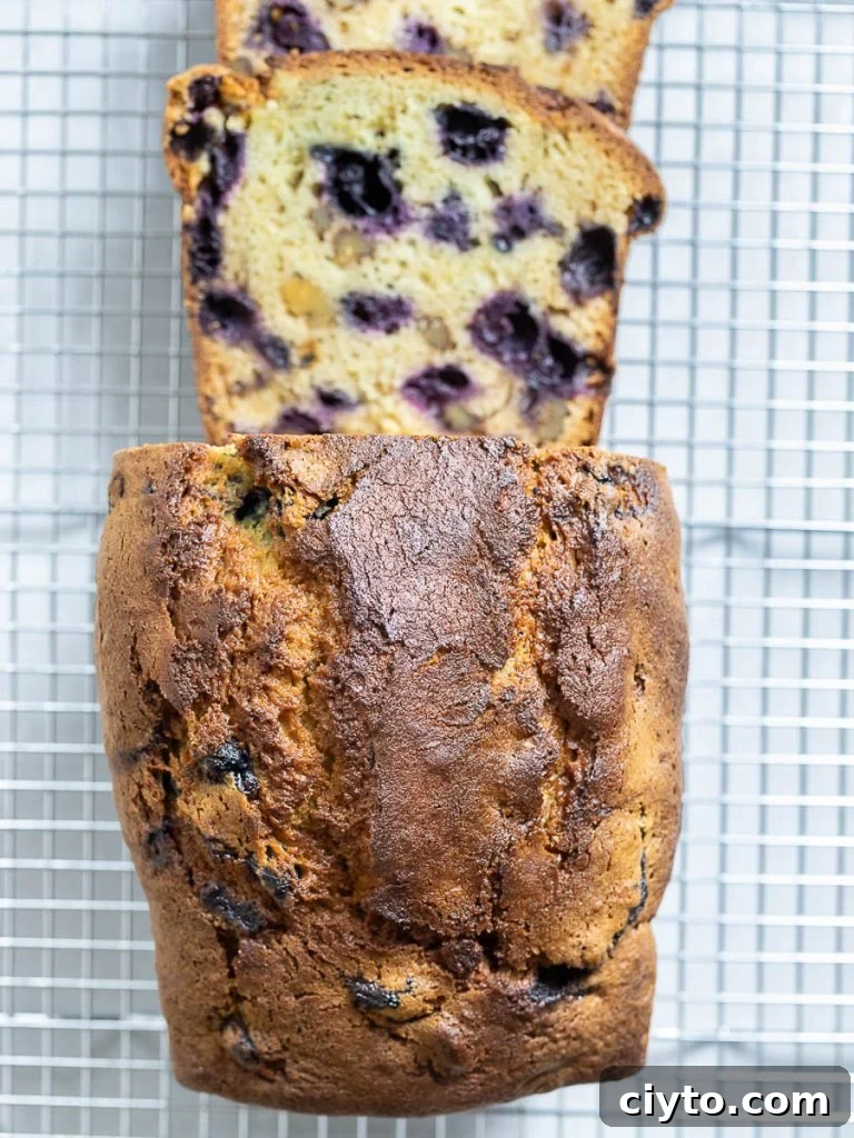 Lemon blueberry bread with a golden brown crunchy crust on a wire rack