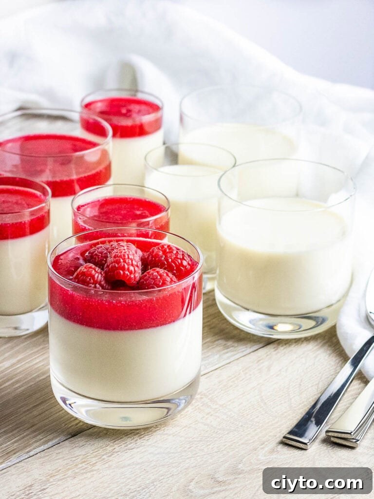 panna cotta with raspberries and red berry sauce