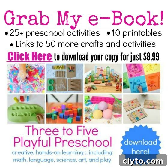 Three to Five Playful Preschool e-book
