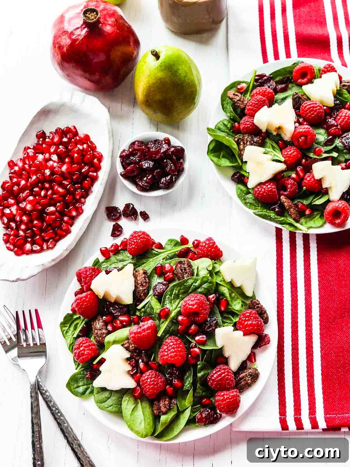 Christmas Holiday Salad with dressing